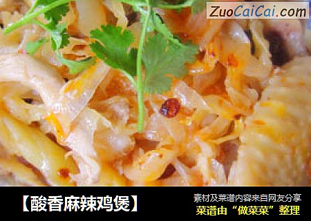 ［酸香麻辣鸡煲］
