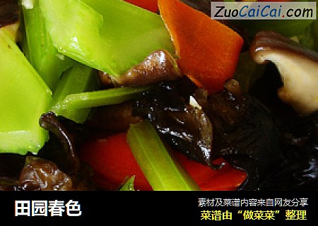 田园春色