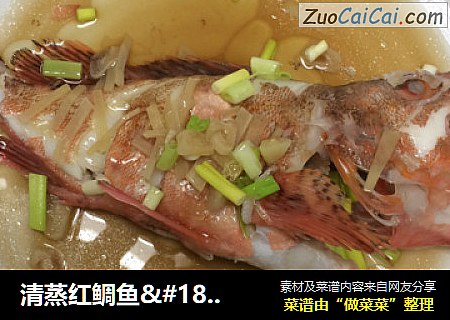 清蒸红鲷鱼·