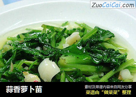 蒜香萝卜苗