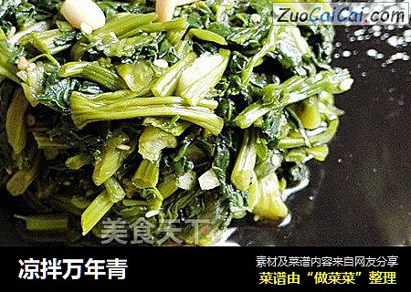 凉拌万年青
