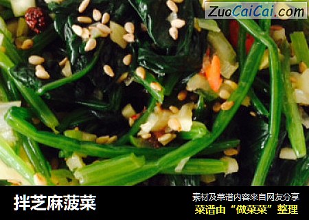 拌芝麻菠菜