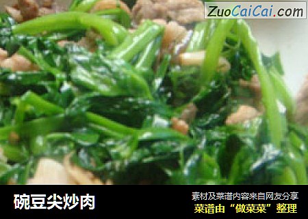 碗豆尖炒肉
