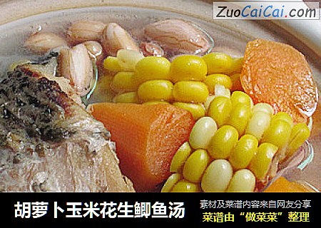 胡萝卜玉米花生鲫鱼汤