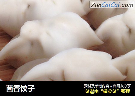 茴香饺子