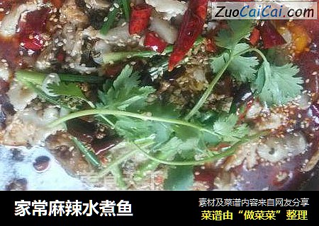 家常麻辣水煮鱼