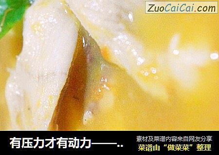 有压力才有动力——木瓜鱼片