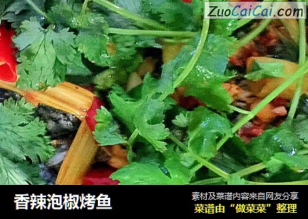 香辣泡椒烤鱼