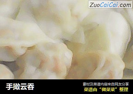 手撖云吞