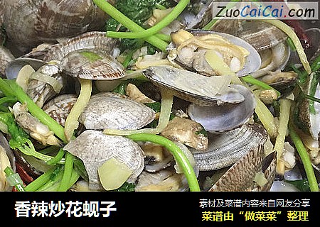 香辣炒花蚬子