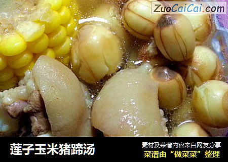 莲子玉米猪蹄汤