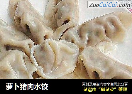 萝卜猪肉水饺