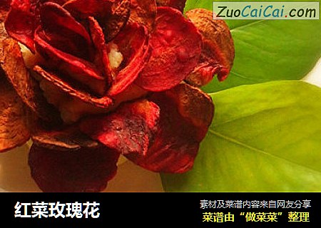 红菜玫瑰花