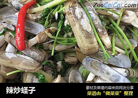 辣炒蛏子