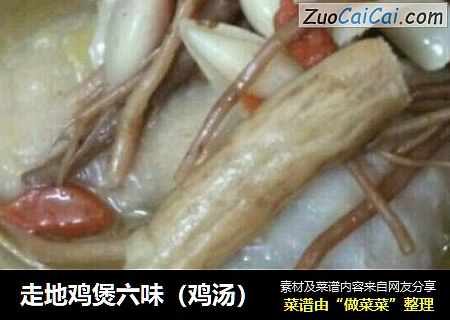 走地鸡煲六味（鸡汤）