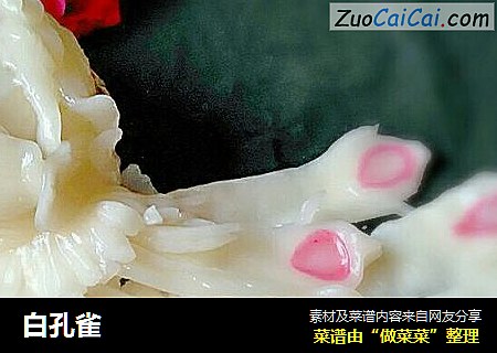 白孔雀