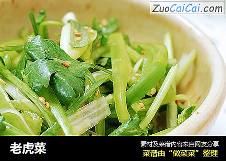 老虎菜