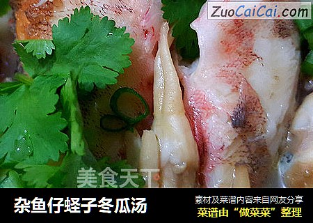 杂鱼仔蛏子冬瓜汤