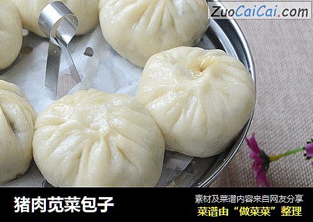猪肉苋菜包子