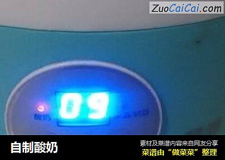 自制酸奶