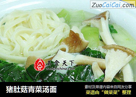 猪肚菇青菜汤面