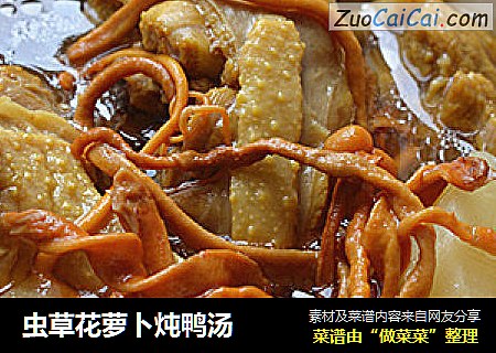 虫草花萝卜炖鸭汤