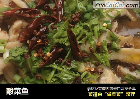 酸菜鱼