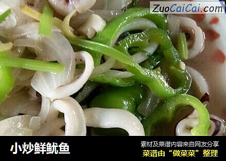 小炒鲜鱿鱼