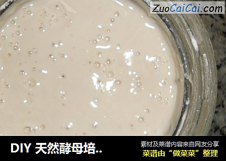 DIY天然酵母培养记