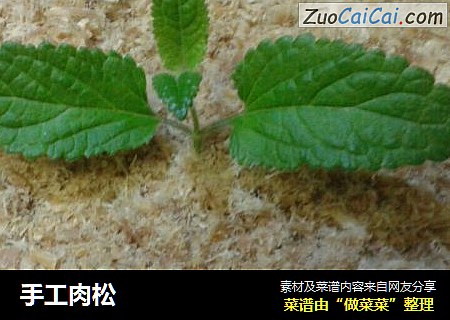 手工肉松