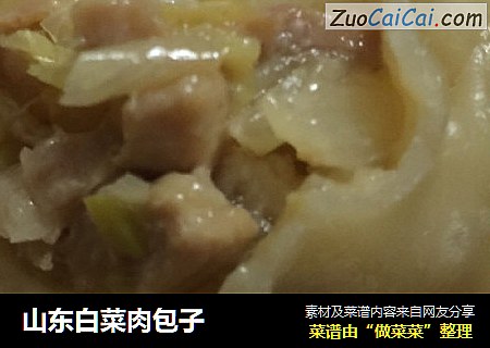 山东白菜肉包子