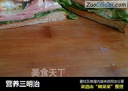 营养三明治