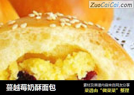 蔓越莓奶酥面包