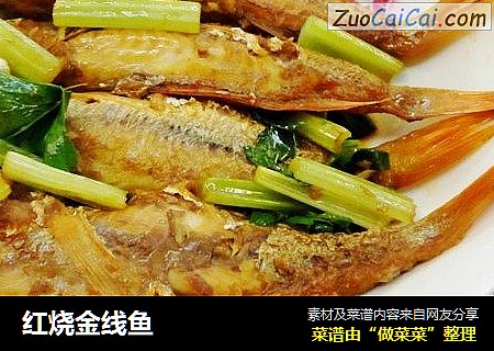 红烧金线鱼