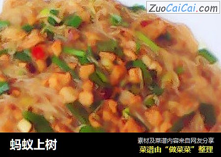 蚂蚁上树