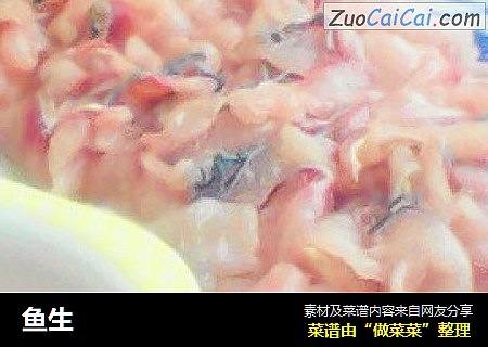 鱼生