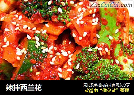 辣拌西兰花