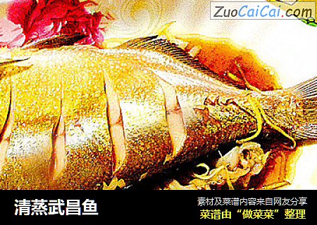 清蒸武昌鱼
