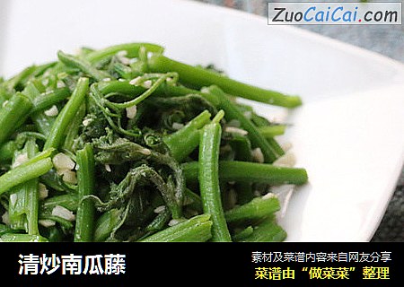清炒南瓜藤