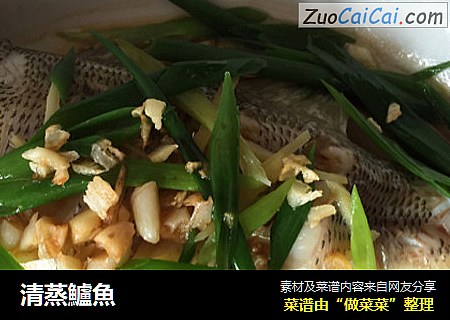 清蒸鱸魚