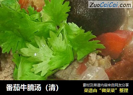 番茄牛腩汤（清）