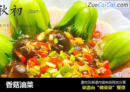 香菇油菜