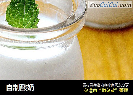 自制酸奶