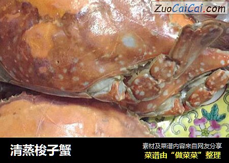 清蒸梭子蟹