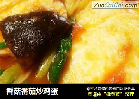 香菇番茄炒鸡蛋