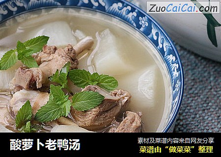酸萝卜老鸭汤