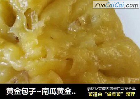 黄金包子~南瓜黄金茄子包儿