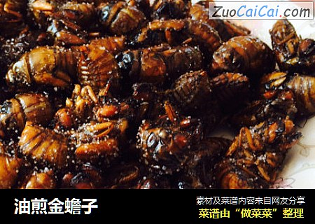 油煎金蟾子