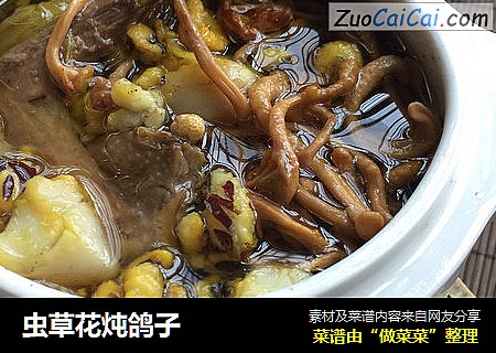 虫草花炖鸽子