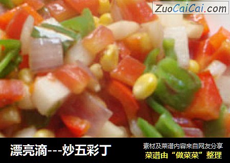 漂亮滴---炒五彩丁